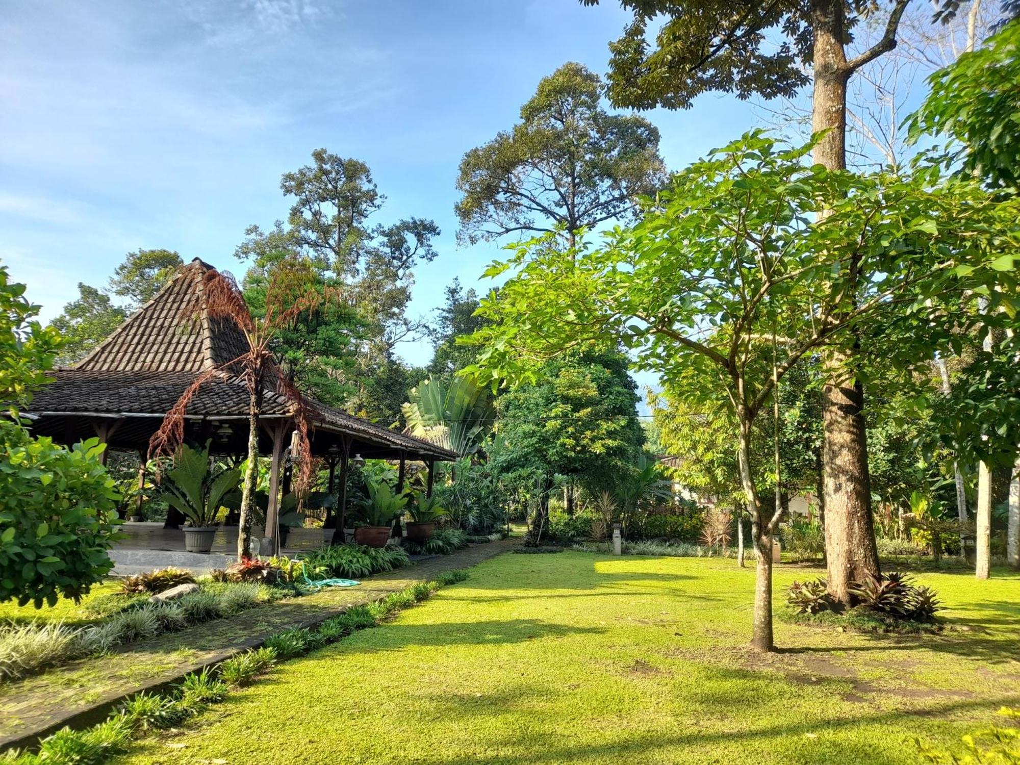 Ndalem Nitihardjan Hotel Magelang Ngoại thất bức ảnh